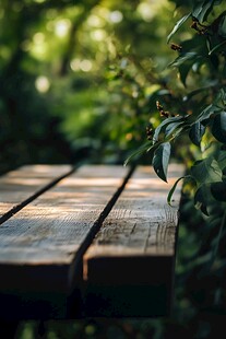 阳光洒落的林间木桌