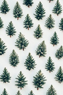 圣诞小树图案 清新排列