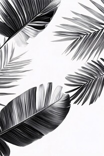 黑白棕榈叶装饰图案