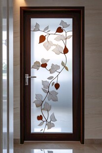 艺术玻璃门 优雅家居之选