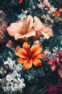 多彩花卉组合绽放之美