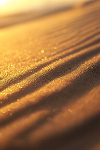 金色沙滩上的阳光与沙纹