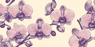 手绘粉色兰花图案背景