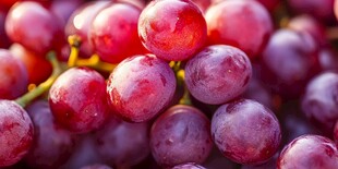 晶莹紫葡萄 诱人果实美