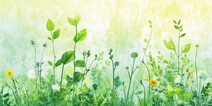 春日清新草地花卉图景