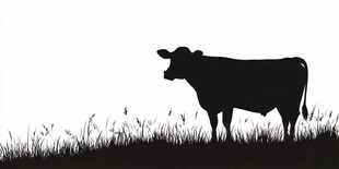 草原上的牛剪影