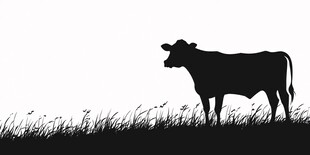 草原上的牛剪影