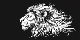 飘逸鬃毛的雄狮侧影