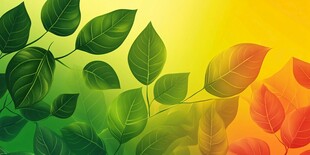 清新渐变叶景图