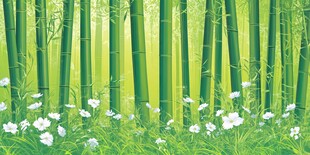 翠绿竹林间的烂漫白花