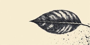 手绘叶脉图 简约艺术风