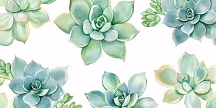 清新多肉植物水彩图案