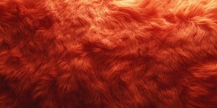 橙红色毛绒面料特写