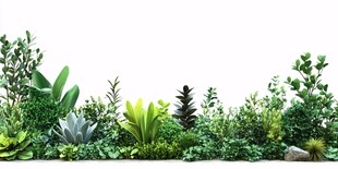 清新绿植边界