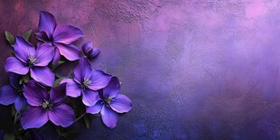 紫色花卉特写背景图