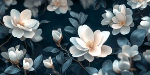 梦幻玉兰花绽放画面