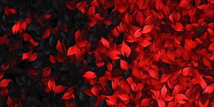 红黑交织的绚丽叶片景观