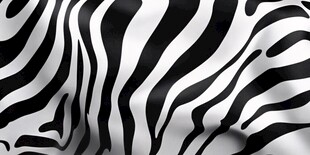 黑白斑马纹图案背景纹理