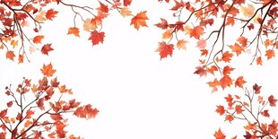 秋枫叶边框背景图