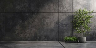 灰色墙面旁的绿植景观