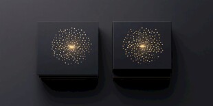 黑金璀璨礼盒设计展示