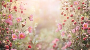 春日烂漫花丛中的梦幻景致