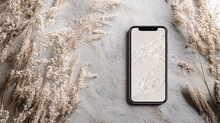 手机与干花的简约静物图