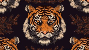 老虎头像图案 神秘且精美