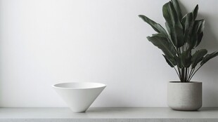 简约白墙下的碗与绿植