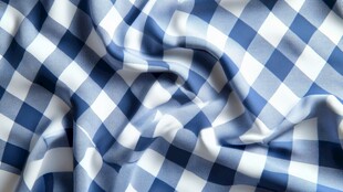 蓝白格子布料纹理特写