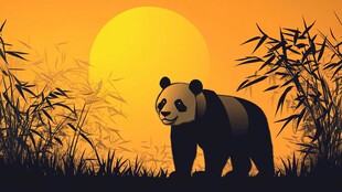 夕阳下的熊猫与竹林