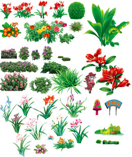花草