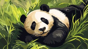 草地上休憩的可爱大熊猫