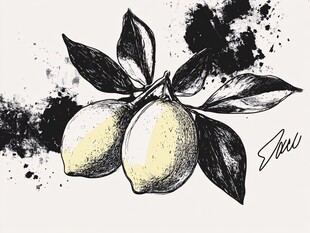 手绘柠檬插画