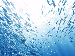 群鱼畅游的蓝色海底世界