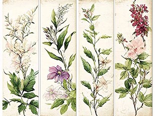 复古花卉植物装饰画