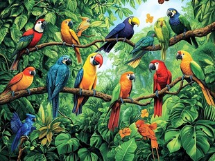 多彩鹦鹉栖于繁茂丛林间