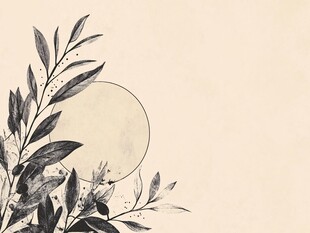 水墨枝叶伴圆月光影