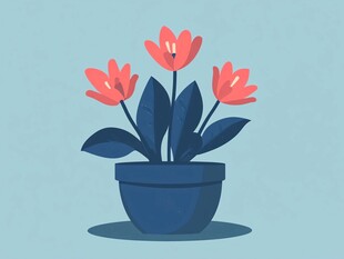 蓝色花盆中的三朵红郁金香