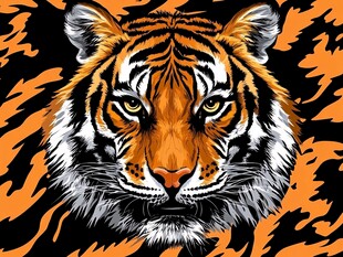 霸气老虎头 动感火焰背景