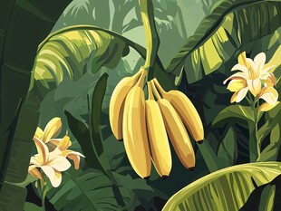 香蕉挂于繁茂绿植间
