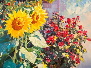 阳光下的多彩花卉