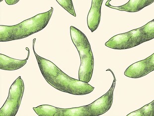 手绘青豆无缝图案背景