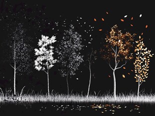 秋夜树林落叶唯美景象