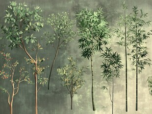 多样绿植集合