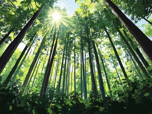 阳光洒落的茂密森林