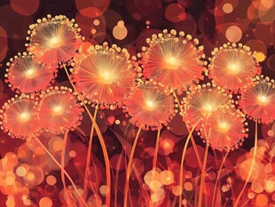 梦幻橙红蒲公英花卉图景