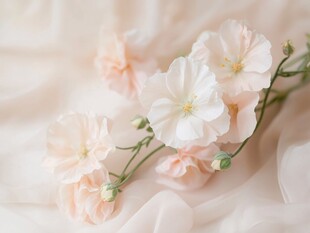 柔美淡粉花朵静躺布面