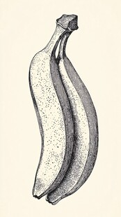 手绘双香蕉图案插画