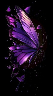 梦幻紫蝶 破碎中的绝美瞬间
